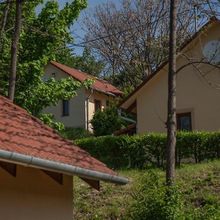 Tulipan Apartman إغير المظهر الخارجي الصورة